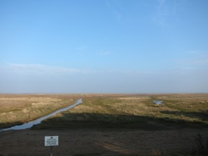 Marsh near Donna Nook