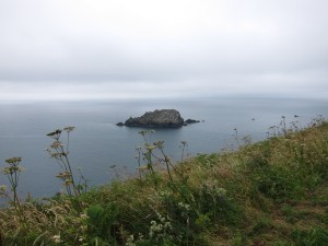 IMG_9921