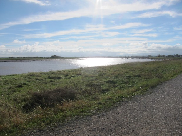 Day 94 Shurton to Bridgwater 28 Oct&nbsp;2017