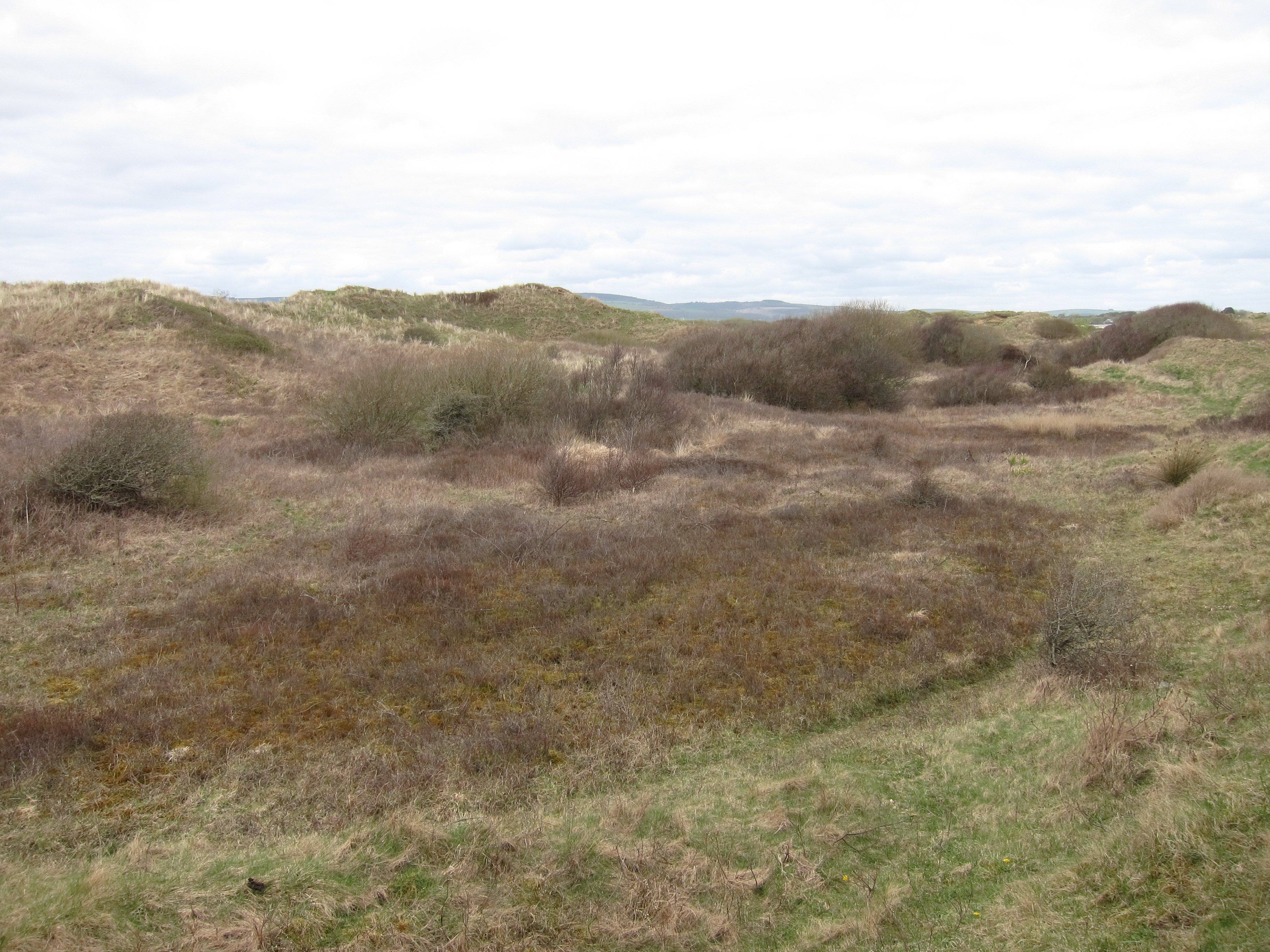 IMG_3346